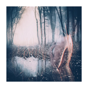 Tirage d'art - Forêt II
