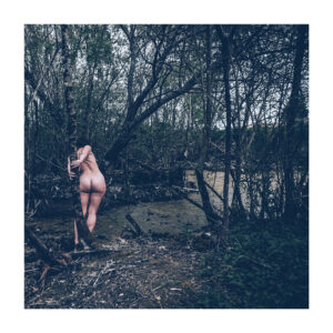 Tirage d'art - Forêt III