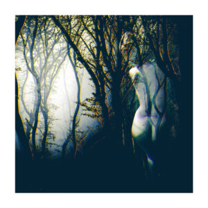 Tirage d'art - Forêt IV
