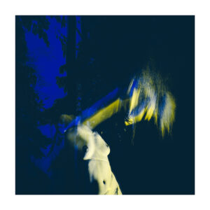 Tirage d'art - Forêt VII