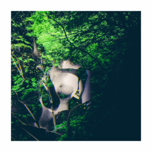 Tirage d'art - Forêt I