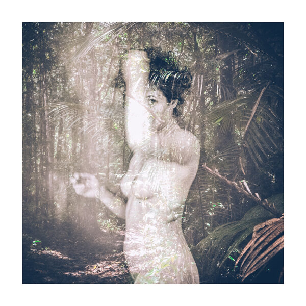 Tirage d'art - Forêt V