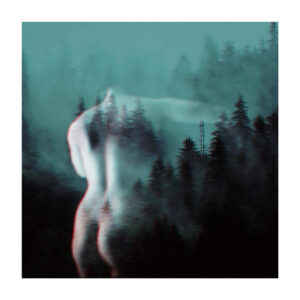 Tirage d'art - Forêt VI