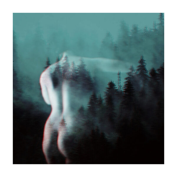 Tirage d'art - Forêt VI